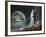 Libra Is the Seventh Astrological Sign of the Zodiac-Stocktrek Images-Framed Photographic Print