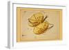 Libra-Aspin Jehosaphat-Framed Art Print