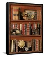 Librairie III-Pela Design-Framed Stretched Canvas