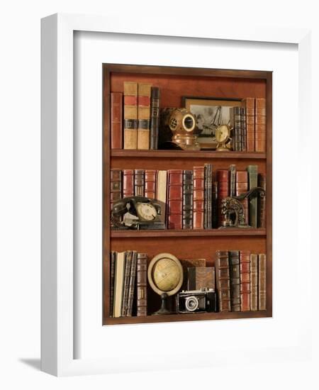 Librairie III-Pela Design-Framed Art Print