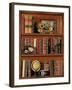 Librairie III-Pela Design-Framed Art Print