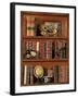 Librairie III-Pela Design-Framed Art Print