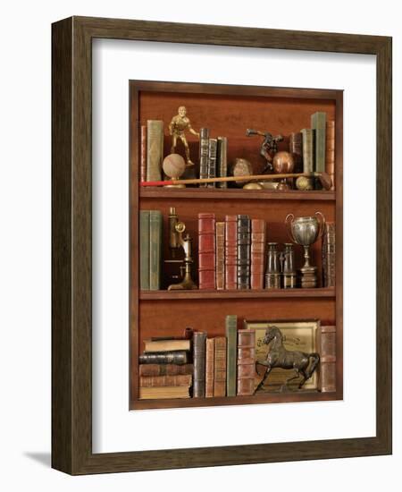 Librairie IV-Pela Design-Framed Art Print