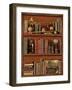 Librairie IV-Pela Design-Framed Art Print