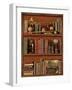 Librairie IV-Pela Design-Framed Art Print