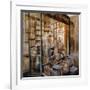 Librairie-Noemi Martin-Framed Giclee Print