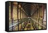 Library (18th Century) of Trinity College, Dublin, Ireland-null-Framed Stretched Canvas