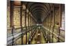 Library (18th Century) of Trinity College, Dublin, Ireland-null-Mounted Photographic Print
