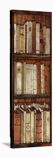 Library II-Elizabeth Medley-Stretched Canvas