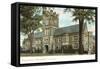 Library, Princeton University, New Jersey-null-Framed Stretched Canvas