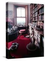 Library Study of Famed Naturalist Charles Darwin-Mark Kauffman-Stretched Canvas