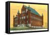 Library, Syracuse University, New York-null-Framed Stretched Canvas