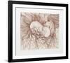 Libre-Guillaume Azoulay-Framed Collectable Print