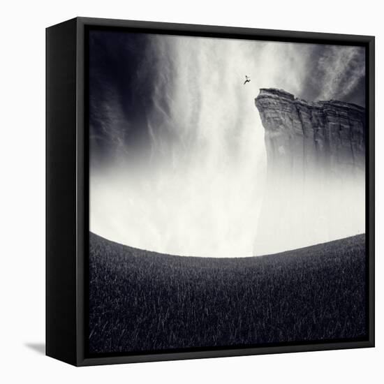 Libre-Luis Beltran-Framed Stretched Canvas