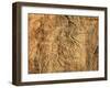 Libya, Fezzan, Messak Settafet-Amar Grover-Framed Photographic Print