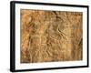 Libya, Fezzan, Messak Settafet-Amar Grover-Framed Photographic Print