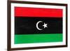 Libya Flag Design with Wood Patterning - Flags of the World Series-Philippe Hugonnard-Framed Art Print