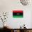 Libya Flag Design with Wood Patterning - Flags of the World Series-Philippe Hugonnard-Art Print displayed on a wall