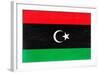 Libya Flag Design with Wood Patterning - Flags of the World Series-Philippe Hugonnard-Framed Art Print