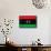 Libya Flag Design with Wood Patterning - Flags of the World Series-Philippe Hugonnard-Framed Stretched Canvas displayed on a wall