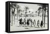 Libya, Horseback Patrol of Italian Financiers in Oasis, 1935-null-Framed Stretched Canvas