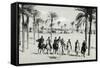 Libya, Horseback Patrol of Italian Financiers in Oasis, 1935-null-Framed Stretched Canvas