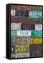 License Plates I-Kathy Mahan-Framed Stretched Canvas