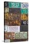 License Plates II-Kathy Mahan-Stretched Canvas