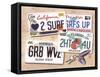 License Plates-Scott Westmoreland-Framed Stretched Canvas