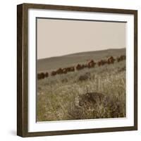 License to Drive-Amanda Lee Smith-Framed Photographic Print