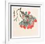 Lichee-Qi Baishi-Framed Art Print