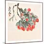 Lichee-Qi Baishi-Mounted Art Print