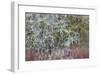 Lichen and Moss-Don Paulson-Framed Giclee Print