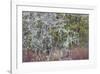 Lichen and Moss-Don Paulson-Framed Giclee Print