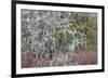 Lichen and Moss-Don Paulson-Framed Giclee Print