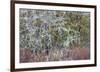 Lichen and Moss-Don Paulson-Framed Giclee Print