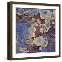 Lichen and Rock Detail, Coigach - Assynt Swt, Sutherland, Highlands, Scotland, UK, June-Joe Cornish-Framed Photographic Print