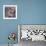 Lichen and Rock Detail, Coigach - Assynt Swt, Sutherland, Highlands, Scotland, UK, June-Joe Cornish-Framed Photographic Print displayed on a wall