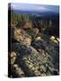 Lichen Covered on Boulders on Continental Divide, Wyoming, USA-Scott T. Smith-Stretched Canvas