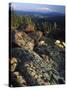 Lichen Covered on Boulders on Continental Divide, Wyoming, USA-Scott T. Smith-Stretched Canvas