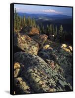 Lichen Covered on Boulders on Continental Divide, Wyoming, USA-Scott T. Smith-Framed Stretched Canvas