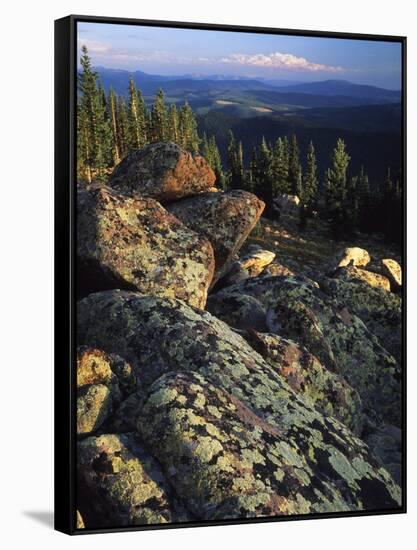 Lichen Covered on Boulders on Continental Divide, Wyoming, USA-Scott T. Smith-Framed Stretched Canvas