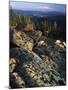 Lichen Covered on Boulders on Continental Divide, Wyoming, USA-Scott T. Smith-Mounted Premium Photographic Print