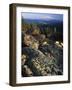 Lichen Covered on Boulders on Continental Divide, Wyoming, USA-Scott T. Smith-Framed Photographic Print