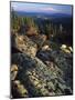 Lichen Covered on Boulders on Continental Divide, Wyoming, USA-Scott T. Smith-Mounted Photographic Print