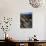 Lichen Covered on Boulders on Continental Divide, Wyoming, USA-Scott T. Smith-Photographic Print displayed on a wall