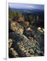 Lichen Covered on Boulders on Continental Divide, Wyoming, USA-Scott T. Smith-Framed Photographic Print