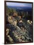 Lichen Covered on Boulders on Continental Divide, Wyoming, USA-Scott T. Smith-Framed Photographic Print