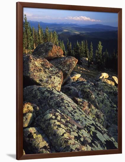 Lichen Covered on Boulders on Continental Divide, Wyoming, USA-Scott T. Smith-Framed Photographic Print