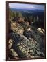 Lichen Covered on Boulders on Continental Divide, Wyoming, USA-Scott T. Smith-Framed Photographic Print